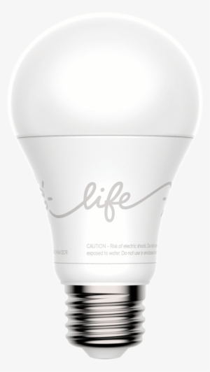 Affordable Meet More Of The Family Clife And Csleep - Incandescent Light Bulb