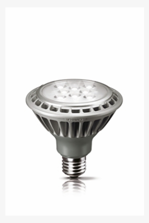 Master Led Lamps