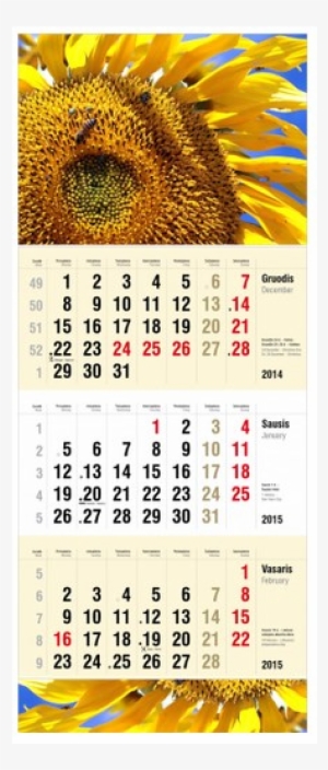 3 Part Wall Calendars - Printer