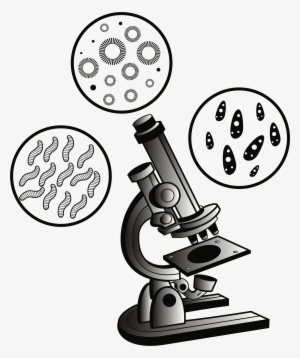 Big Image - Microscope Clipart