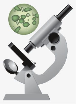 Microscope Clip Art Medical Clip Art, Science Clipart,