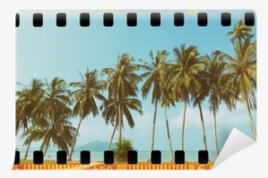 Palm Trees At Tropical Coast, Vintage Toned And Film - Film