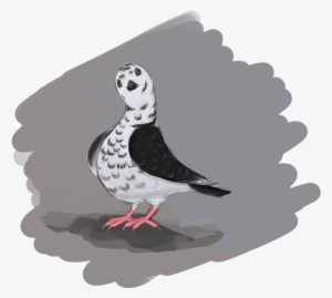 “ Pigeon Doodle ” - Doodle