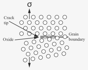 Schematic Representation Of The Tress Accelerated Grain - Yield
