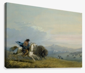 Pawnee Running Buffalo Canvas Print - Printing