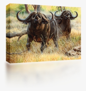 Africa Water Buffalo - Art