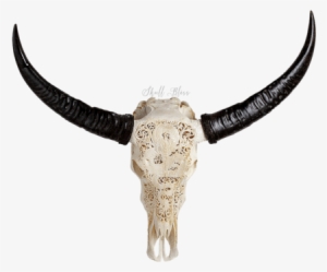 carved buffalo skull - african buffalo