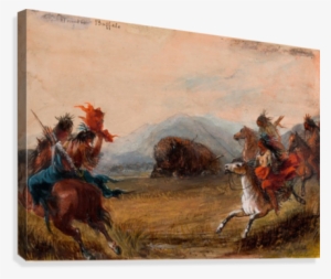 Wounded Buffalo Canvas Print - Art