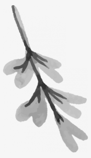 Watercolor Brush Kit 5
