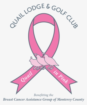 Offers - The Breast Cancer Awareness Month
