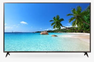 Tv & Home Theater Deals - Chois Custom Films Cf1046 Beach Sky Plam Trees Glass