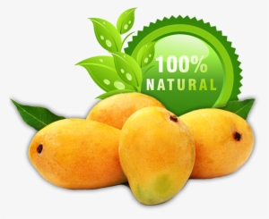 Buy Best Alphonso Mangoes Online - Ratnagiri Alphonso Mangoes