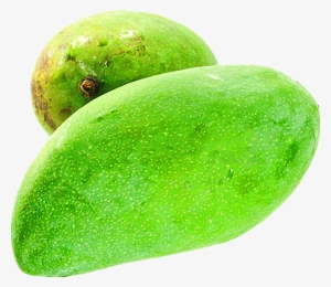 Picture Of Green Mango /ea - Fruit