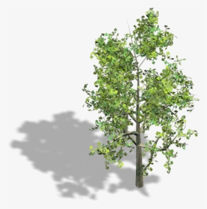 Preview - Trees For Axonometric Views