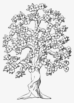 Big Image - Big Family Tree Drawing