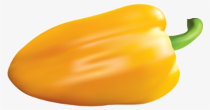 11 - Yellow Pepper