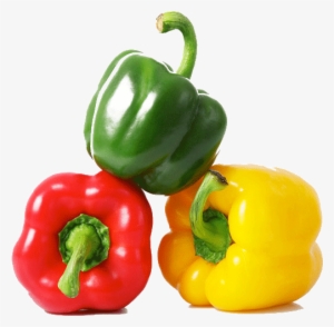 Elomar Company Provide A Variety Of Vegtables For Exporting - Vegetables Board Book For Kids