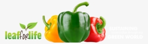 Leaf For Life - Green And Red Bell Pepper Png