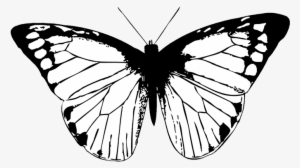 Butterfly Black Butterfly Clipart Png - Butterfly Wing Black And White