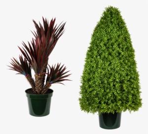Please Click On The Image Below To View Or Download - Artificial Landscaping Trees