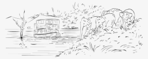 Drawing - Thekkady Drawings