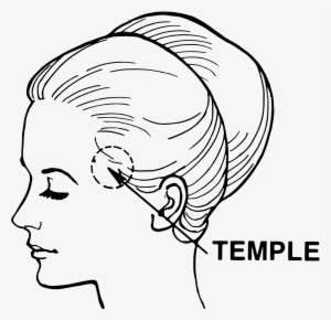 Temple Anatomy