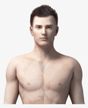 See How It Affects A Man - Man Body Png