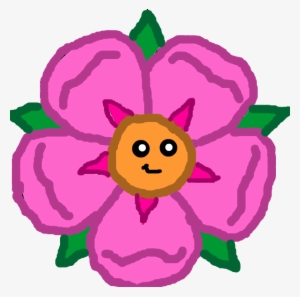 Star Flower Cf3 Hd - Wiki