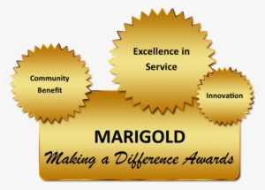 Marigold Library System's Making A Difference Award - Ecommerce Discounts