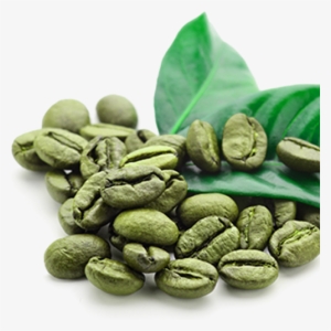 Green Coffee Beans - Green Coffee Beans Png
