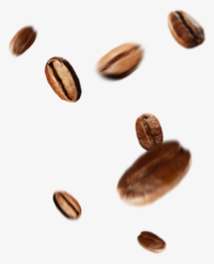 Beans - Coffee