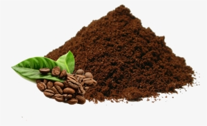 Coffee Doesn't Exist In The Shape That We Are Used - Arabica Coffee Seed Oil 100 Pure Natural.