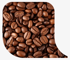 The Surface Of The Coffee Bean Is Dry, Without Oil - Coffee