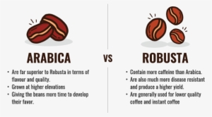Types Of Coffee Beans - Arabica Coffee Bean
