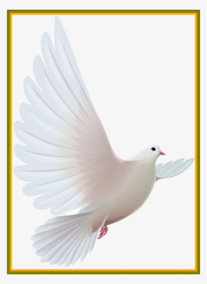 Pigeon Clipart Clip Art - Pomba Do Espirito Santo Png