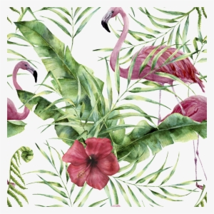 Flamingo Background Jpg Background About Background,fill - Obrazy Z Egzotycznymi Kwiatami