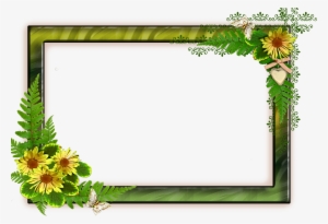 Flower Frame Png, File Size, Backgrounds Free, Png - Frames With Transparent Background