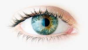 Those Floating Specks In Your Vision Could Be A Red