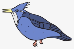 Bluejay Drawing In Flight - Clip Art