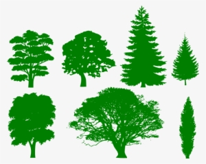 How To Set Use Green Trees Clipart