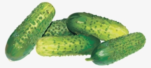 Cucumber Clipart Vegetable - Cucumber Sprite Png