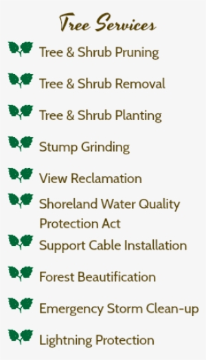 Tree Services A Tree & Shrub Pruning A Tree & Shrub - Tree