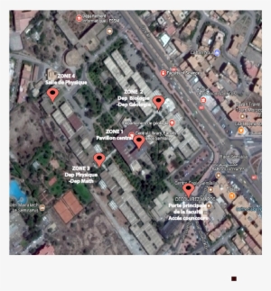 Plansemlalia - City