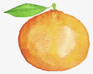 Hand Painted Orange Cartoon Transparent Fruit Png - 手繪 橘子