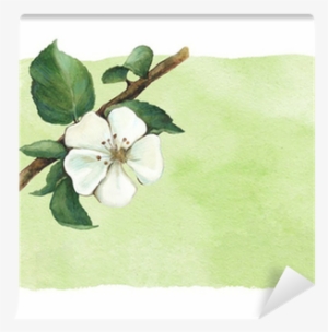 Background With Watercolor Apple Flowers Wall Mural