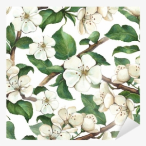 Pattern With Watercolor Apple Flowers Sticker • Pixers®