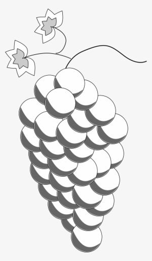This Free Icons Png Design Of Grapes Line Art