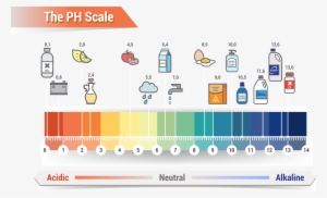 Affordable Ph Scale Litmus Paper Color Chart Royalty - Skin Ph Level Chart