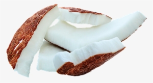 Coconut Fruit Food Coconut Coconut Coconut - Piece Of Coconut Png