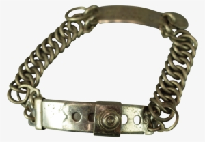Nickel Dog Collar With Engraved Name Plate - Bracelet